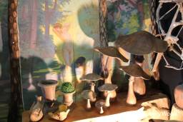 Mushrooms / Apercu n 3
