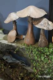 Mushrooms / Apercu n 5