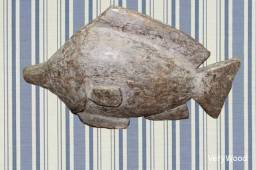 Matrices Fishes / Apercu n 2