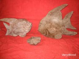 Matrices Fishes / Apercu n 6