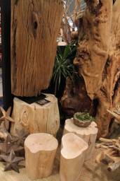Trunk, stool / Apercu n 6