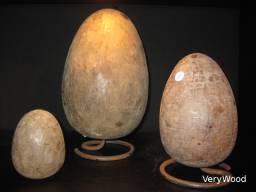 Matrices Ducks Eggs / Apercu n 2
