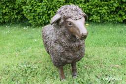 Sheep / Apercu n 1