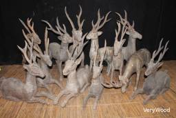 Matrices Deers  / Apercu n 1